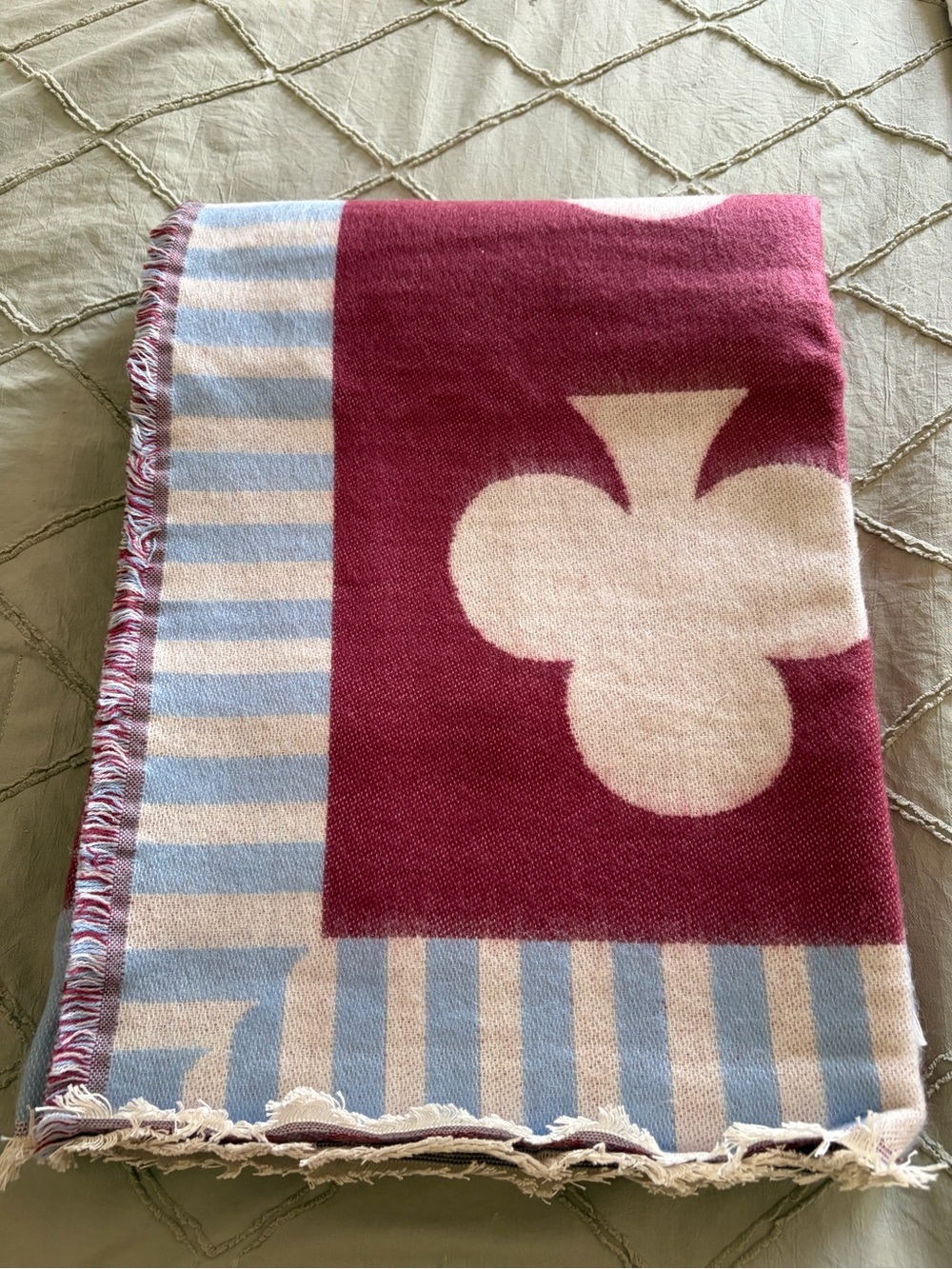 Anthropologie Burgundy, Light Blue & Cream Striped Graphic Throw